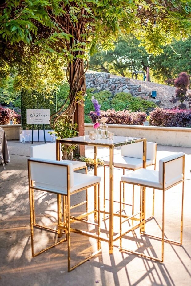 VİENA MODERN BAR SANDALYESİ